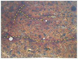 写真-2 ひび割れ近傍の呈色反応状況