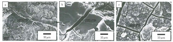 図-6 リチウムイオンを添加していないASRゲル試料のSEM写真