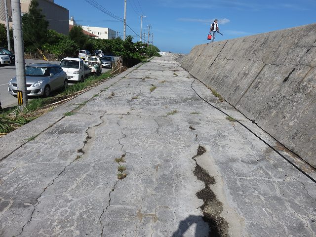 ASR　海岸護岸　無筋構造　【沖縄県】　 | コンクリート劣化写真 | 一般社団法人コンクリートメンテナンス協会