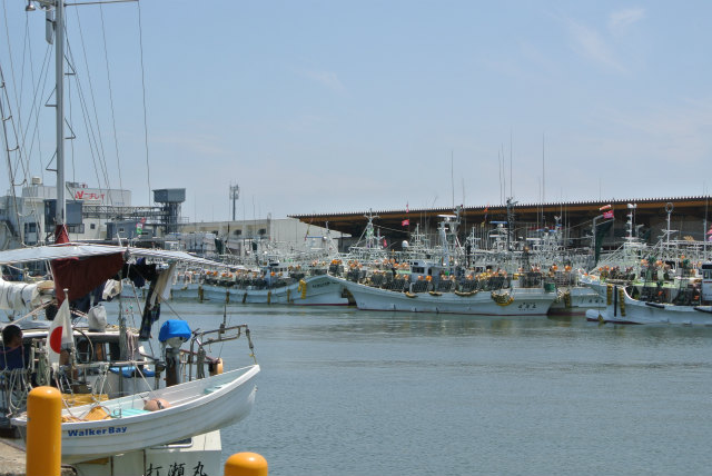 イカ釣り船の漁港に面しています | 2013/06 新潟フォーラム | 一般社団法人コンクリートメンテナンス協会
