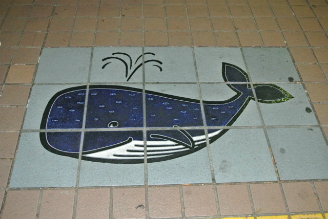 路上の鯨 | 2013/07 高知フォーラム | 一般社団法人コンクリートメンテナンス協会