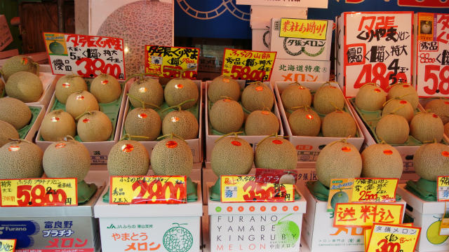 場外市場で | 2013/08 札幌フォーラム | 一般社団法人コンクリートメンテナンス協会