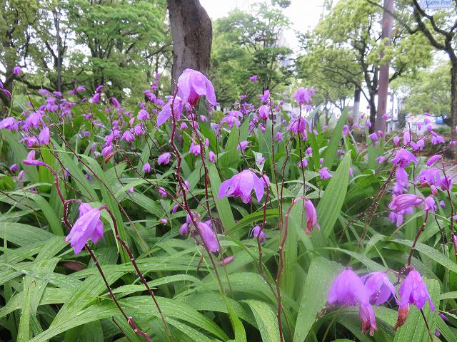 2014/05 佐賀フォーラム | 一般社団法人コンクリートメンテナンス協会