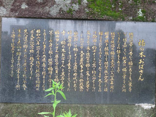 2014/05 佐賀フォーラム | 一般社団法人コンクリートメンテナンス協会