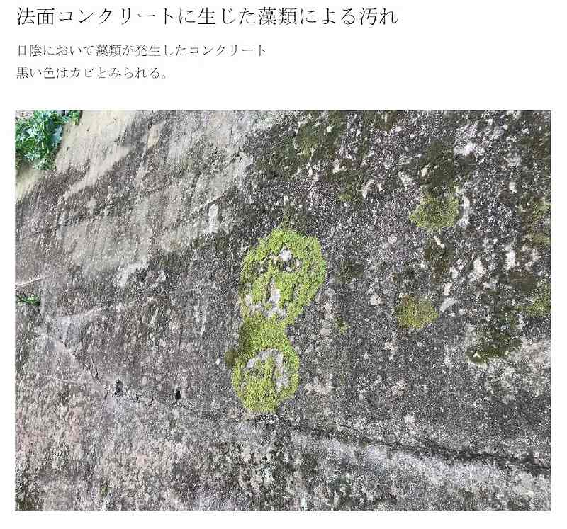 法面コンクリートに生じた藻類による汚れ | コンクリート劣化写真 | 一般社団法人コンクリートメンテナンス協会
