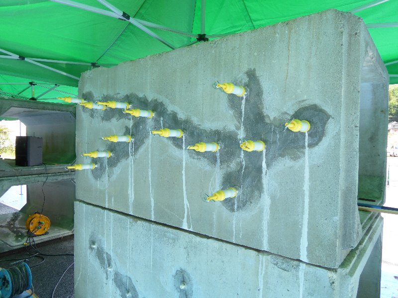 リハビリ工法研修会2015 10/1 | 活動・講演・見学会報告 | 一般社団法人コンクリートメンテナンス協会