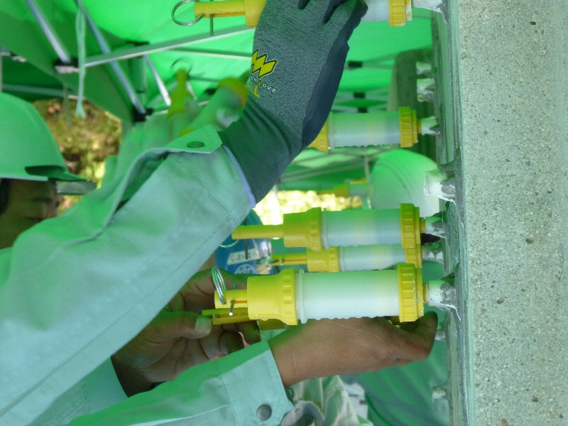 リハビリ工法研修会2015 10/1 | 活動・講演・見学会報告 | 一般社団法人コンクリートメンテナンス協会