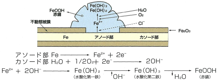 1 塩害とは 一般社団法人コンクリートメンテナンス協会