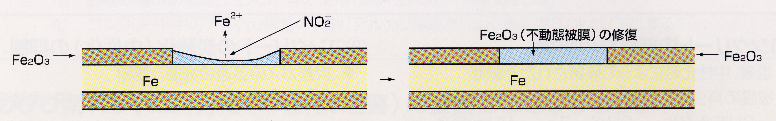 図3-6　亜硝酸イオンによる不動態被膜の再生メカニズム
