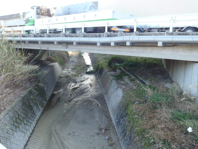 【柳川橋全景】