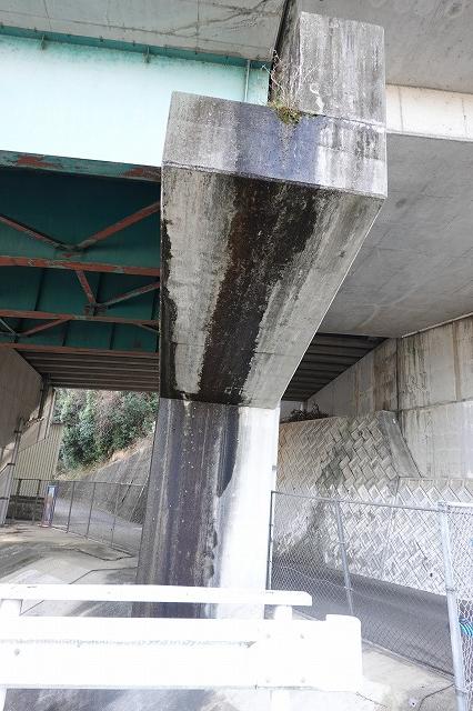 橋脚に生じたカビによる汚れ | コンクリート劣化写真 | 一般社団法人コンクリートメンテナンス協会