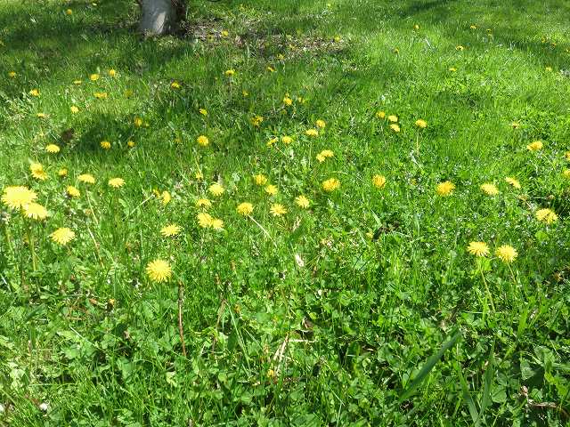 2018/05/21 北海道フォーラム | 一般社団法人コンクリートメンテナンス協会