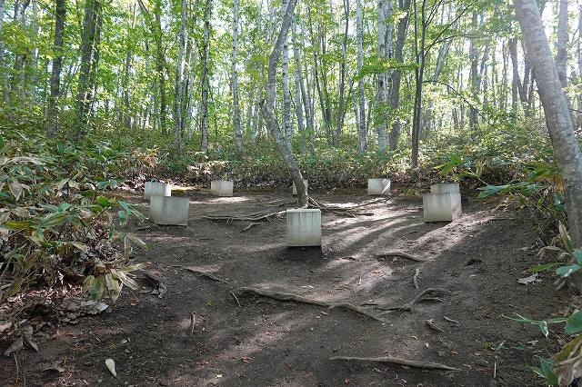 2022/05/08札幌芸術の森のカビ除去の試験施工(2019/11)を確認しました。 | 活動・講演・見学会報告 | 一般社団法人コンクリートメンテナンス協会