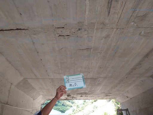 写真01 | 農道整備工事 | 一般社団法人コンクリートメンテナンス協会